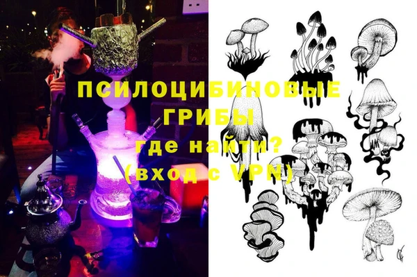 ГАЛЛЮЦИНОГЕННЫЕ ГРИБЫ Переславль-Залесский