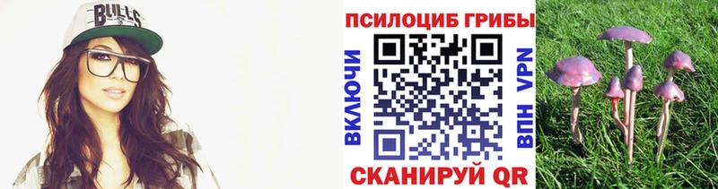 магазин продажи наркотиков  Шлиссельбург  гидра зеркало  Галлюциногенные грибы Cubensis 