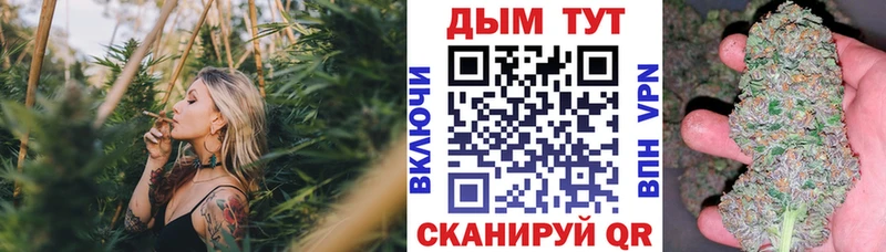 купить закладку  MEGA   Бошки Шишки Amnesia  Шлиссельбург 